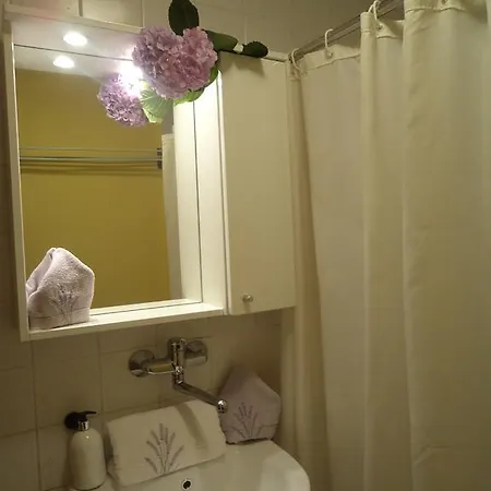 Apartment Babic *